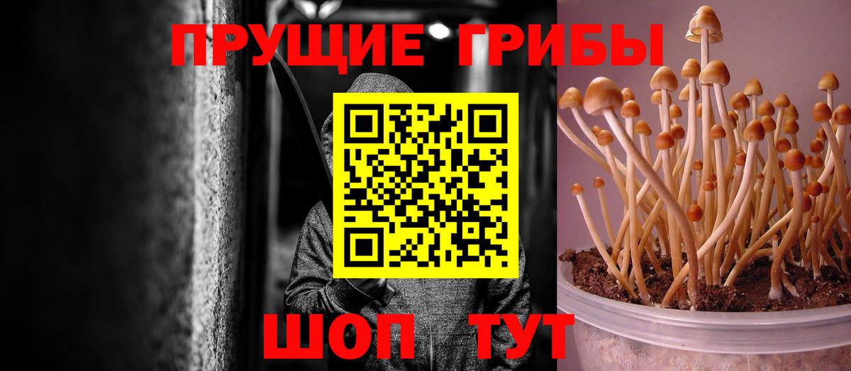 магазин продажи   Вход с VPN  Кушва  Псилоцибиновые грибы Magic Shrooms 