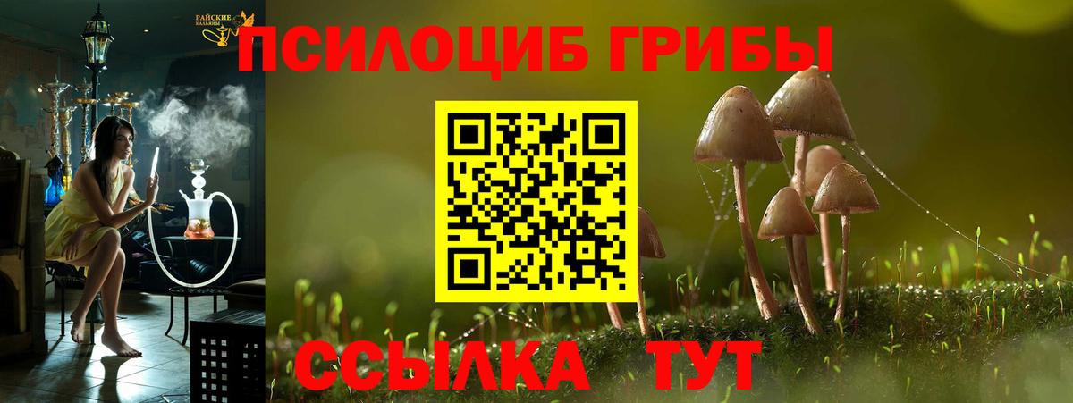 Псилоцибиновые грибы ЛСД Кушва